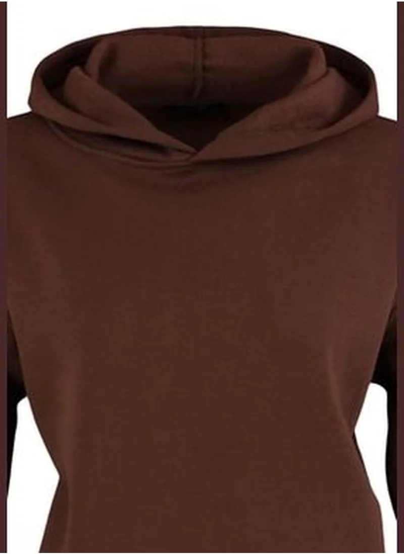 trendyol Brown Regular/Normal Wear Basic with a Hooded Fleece Inside Knitted Sweatshirt TWOAW23SW00004.