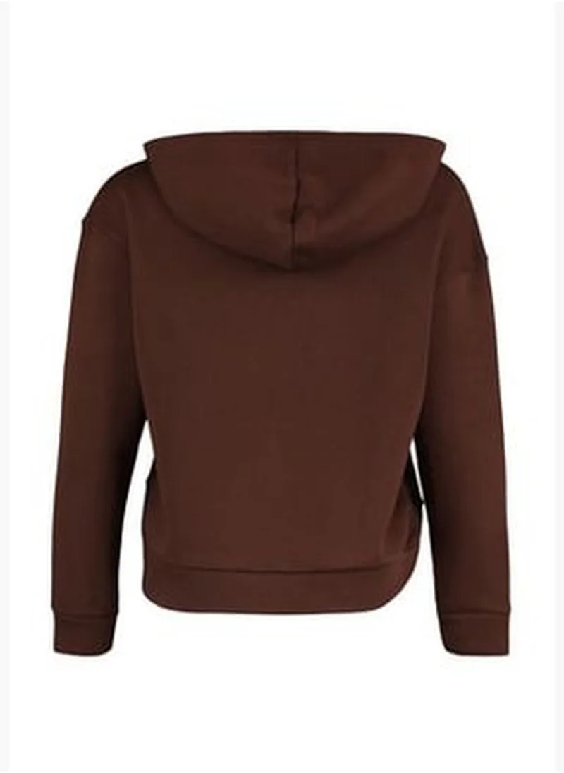 trendyol Brown Regular/Normal Wear Basic with a Hooded Fleece Inside Knitted Sweatshirt TWOAW23SW00004.