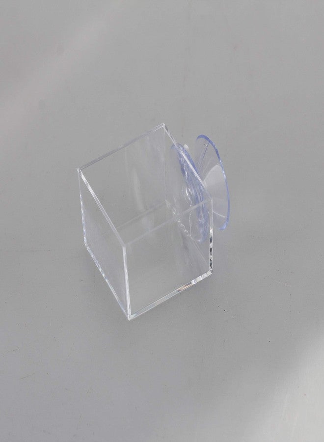 crapelles 4pcs mini Insect Water Dish, Transparent Plastic, Small Reptile Feeding Feeder, Crickets Pet Worm Cups Spider Gecko Butterfly Mantis Beetle Bowl Set - Image 3