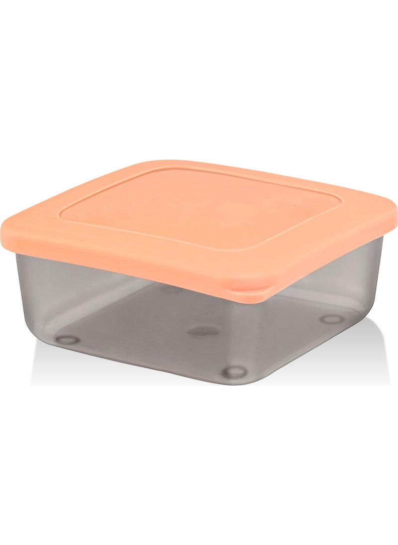 8-Piece Square Mini Breakfast and Storage Container - pzsku/Z4A73CED01C225EEC3510Z/45/_/1728062614/eccb3cca-733e-469c-b992-82d773b42018