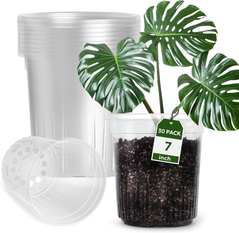 Bluepro 1 Gallon Reinforced Clear Nursery Pots with Drainage Hole, 30 Packs, 6.7 Inch Transparent Pots for Seedlings, Indoor/Outdoor Plants, Veggies, Flowers, and Professional Nursery Use - Image 1