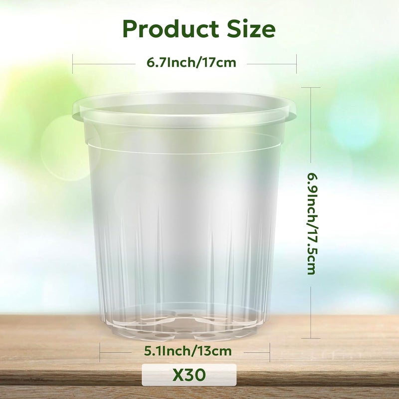 Bluepro 1 Gallon Reinforced Clear Nursery Pots with Drainage Hole, 30 Packs, 6.7 Inch Transparent Pots for Seedlings, Indoor/Outdoor Plants, Veggies, Flowers, and Professional Nursery Use - Image 2