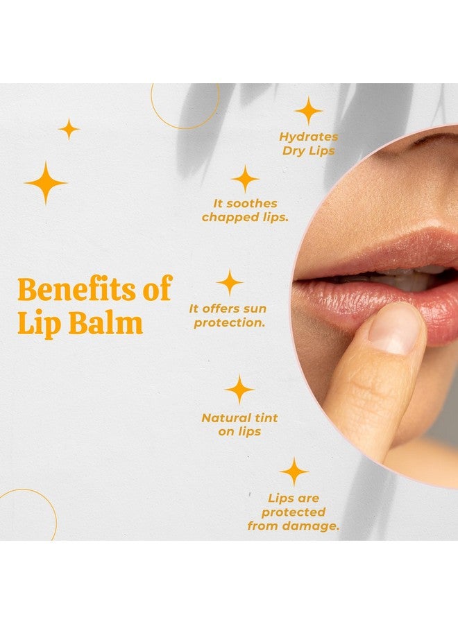SCIIAN Orange Moisturizing Lip Balm for Dry and Chapped Lips 10 gm | Enriched with Natural Herbs and Vegetable Oils | Lip Balm for Dark Lips to Lighten | Lip Balm for Women for Dry Lips | Lip Balm with SPF | Pack of 5 - Image 4