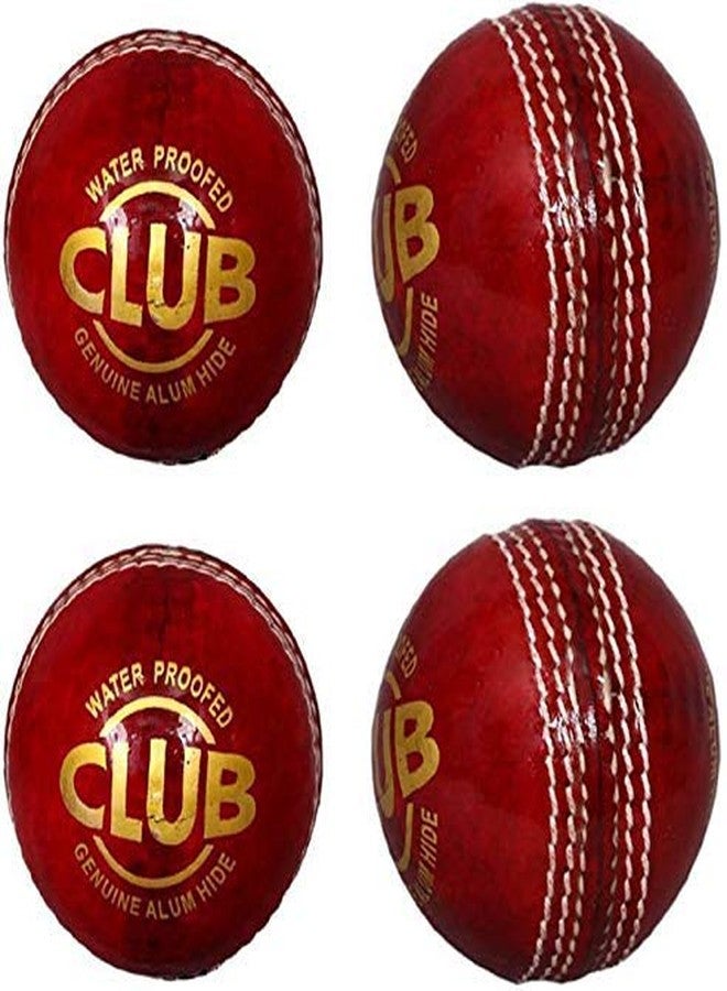 VIBCO Club 2pc Leather Ball (Red) - Image 2