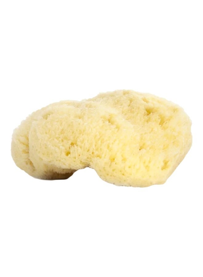 najel Natural Sponge