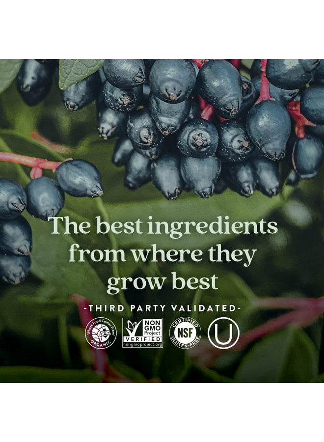 New Chapter® Vitamin C Immune Defense Supplement + Elderberry - Excellent Source of Vitamin C, One Daily Tablet for Healthy Immune Support, Made with Organic Herbs, Non-GMO, Gluten Free, 30 ct - Image 5