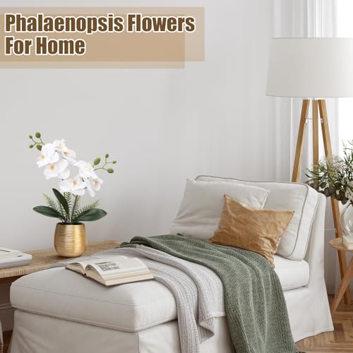 Juinte 2 Pcs Orchids Artificial Flowers in Gold Ceramic Vase 13'' White Fake Flowers Phalaenopsis Faux Orchid for Home Office Wedding Party Dining Room Table Centerpiece Decoration - Image 4