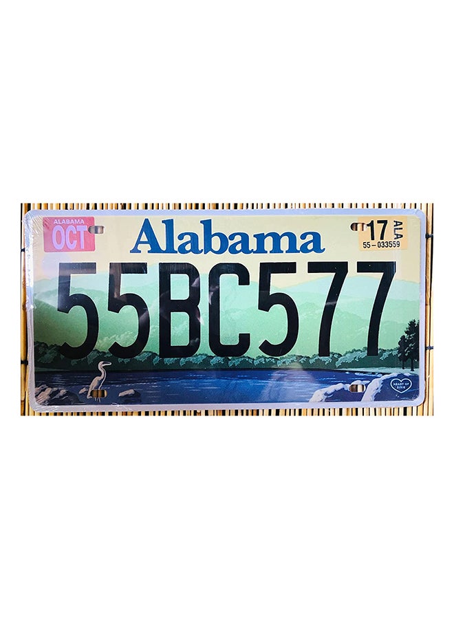 HOME TASTE Hometaste Wall Decorative Metal Plate Metal Wall Plate Metal Art Tin Sign Plaqui Print Poster Car Plate Plaque Decals Modern Design Painted Car Plate Tin Metal Wall Art Signs (Style-2)