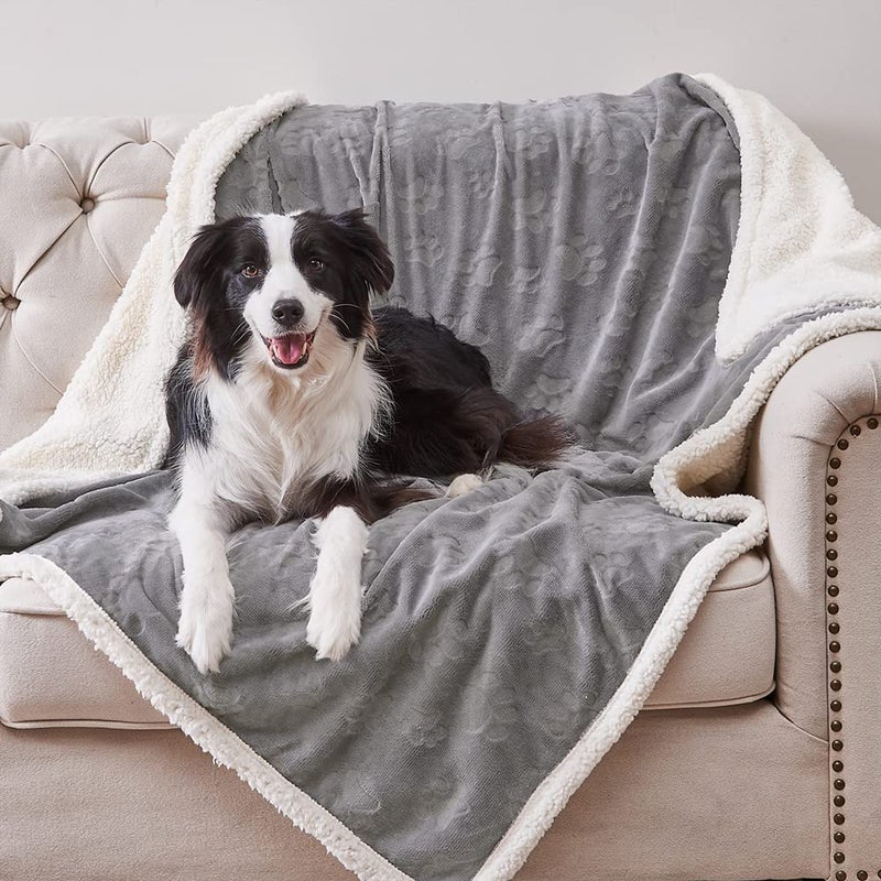 Qeils Dog Blankets for Large Dogs Waterproof Cat Blanket Washable Sherpa Fleece Puppy Blanket Soft Plush Reversible Throw Protector for Bed Couch Car Sofa 60X80 Grey