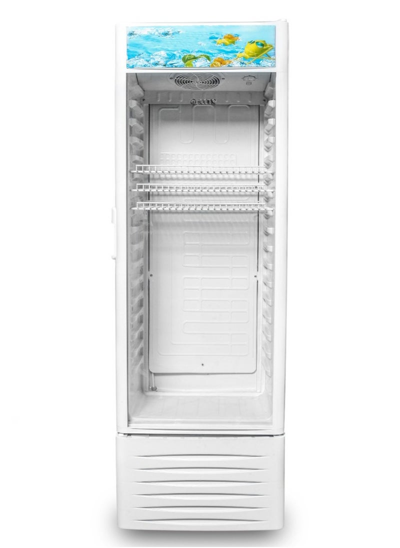 iCone Icone 332-Liter Glass Door Display Refrigerator – Showcase Your Products with Style and Efficiency, Boost Sales with Stunning Visibility and Optimal Cooling Performance!  - Image 2