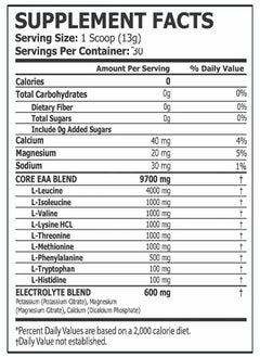 CORE CHAMPS Core Champs EAA Essential Amino Acids Lemon Lime Flavor 390g 30 Serving  - Image 2