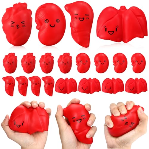 Arrowbash 12 Pcs Stress Balls Bulk Nurse Thank You Relief Stress Ball Nursing Assistants Nurse Appreciation Week Gifts Adult Medical Work Team Graduation Gifts Adorable Style - Image 1