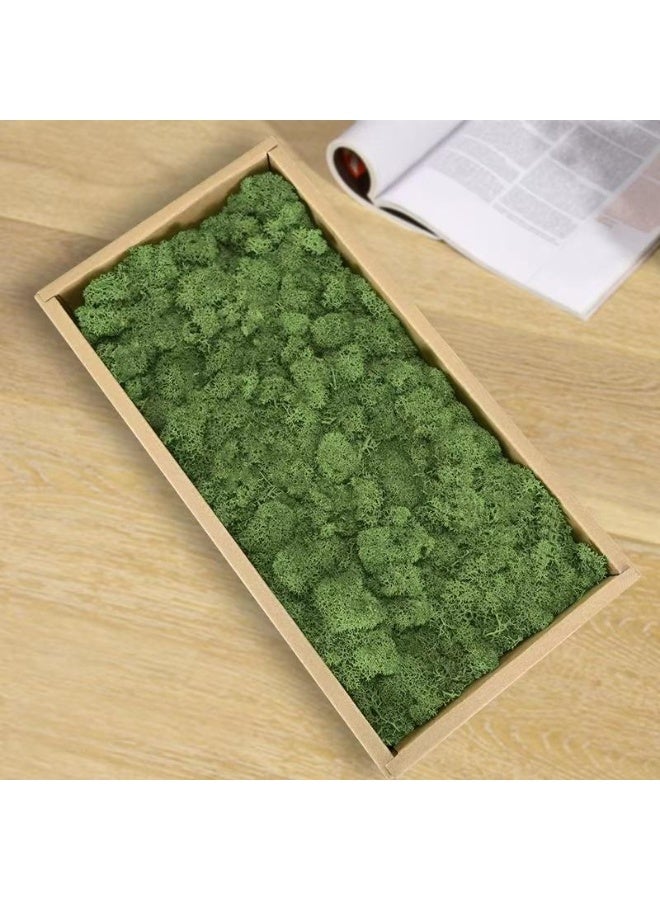 RYK-Natural Preserved Dried Reindeer Lichen Moss， Handmade, elegant moss wall decoration - zero maintenance, perfect for home, office, and wedding venues - Image 1
