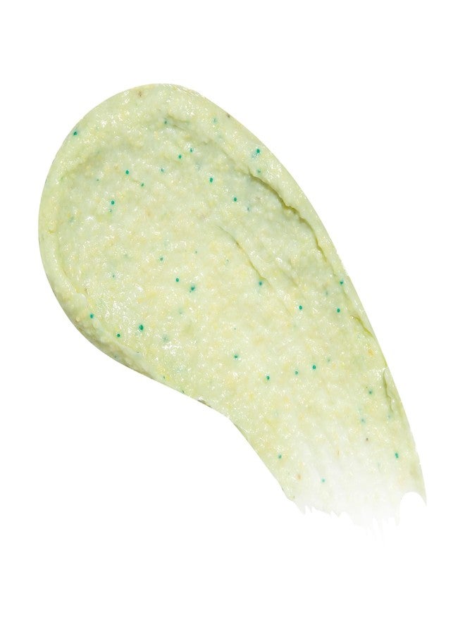 Beekman 1802 Glacial Mint & Eucalyptus Exfoliating Milk Body Scrub - 8.0 fl oz - Smooths & Evens Out Tone - With Goat Milk & Jojoba Beads - Skin Barrier Safe - Good for Sensitive Skin - Cruelty Free - Image 2