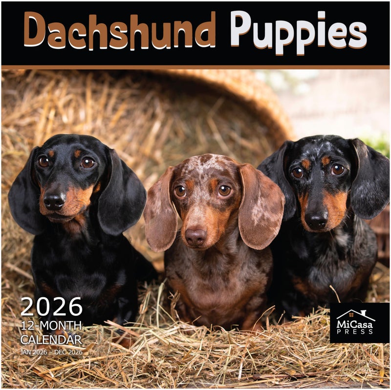 MICASA PRESS Dachshund Puppies 2026 Wall Calendar 12 Month | 12" x 24" Open | Thick & Sturdy Paper | Holiday Gift | Cute Puppy Weiner Dog Calendar 2026 - Image 1