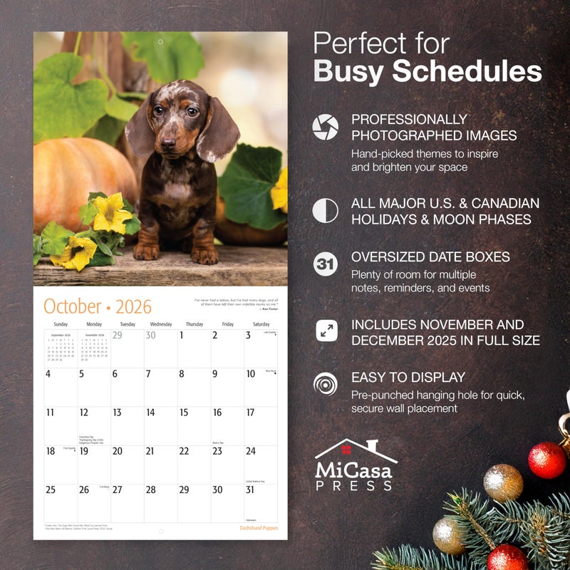 MICASA PRESS Dachshund Puppies 2026 Wall Calendar 12 Month | 12" x 24" Open | Thick & Sturdy Paper | Holiday Gift | Cute Puppy Weiner Dog Calendar 2026 - Image 2