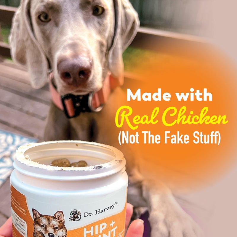 Dr. Harvey's Hip & Joint Soft Chews for Dogs, Daily Mobility Supplement Chewable Bites for Dogs with Glucosamine, Chondroitin & MSM, Green Lipped Mussel, Chicken Flavor (90 Chews) - Image 5