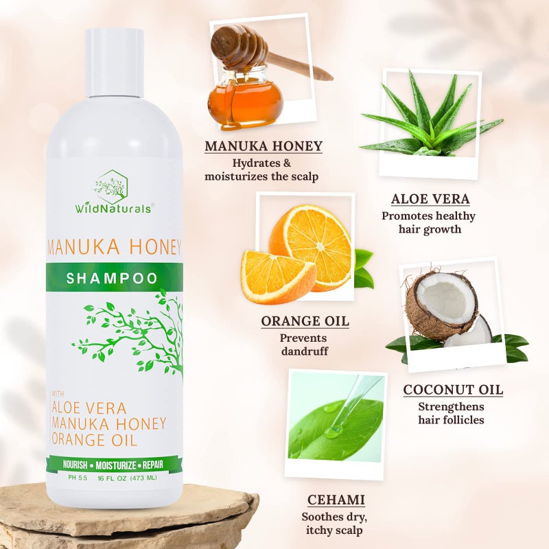 Wild Naturals Eczema Manuka Honey Shampoo for Psoriasis and Dry, Itchy Scalp - Natural Hydrating Formula with Aloe Vera & Coconut Oil, Sulfate-Free - Image 2