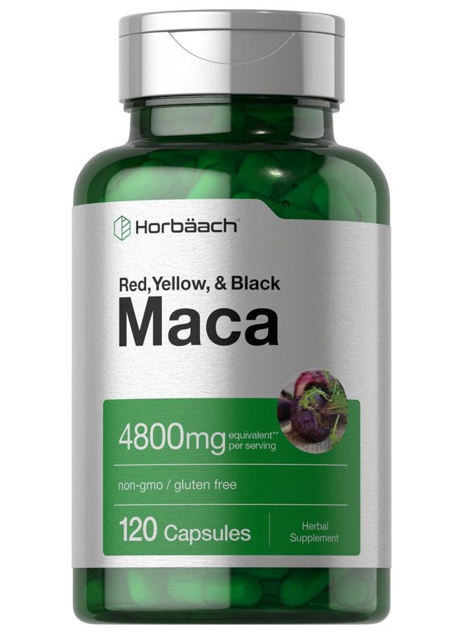 Horbäach Maca Root Capsules for Men and Women | 120 Pills | High Potency Extract | Non-GMO and Gluten Free Formula  - Image 1