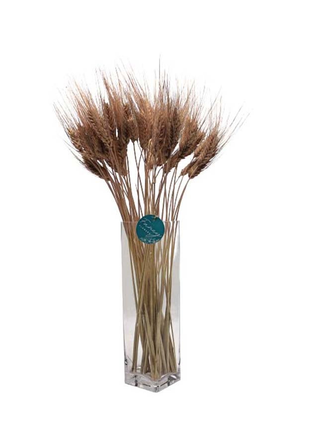 Generic Natural Dried Wheat Grass Bundle Artificial Wheat Dried Flower (MOCKA, 100)  - Image 1