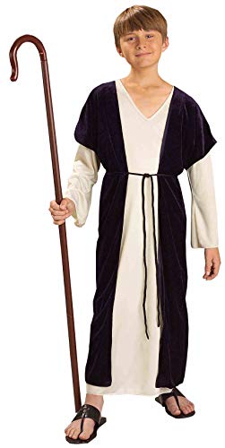 Rubies Childs Forum Biblical Times Shepherd Costume Medium for Themed Parties and Halloween - Image 1