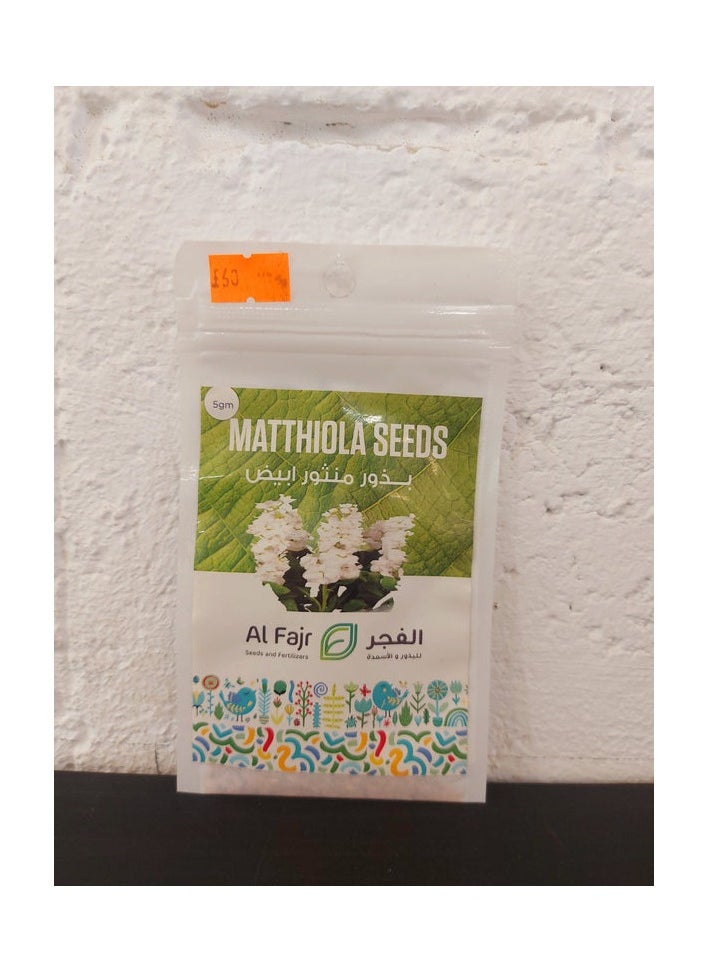 GROW White Matthiola flower seeds al-fajr 