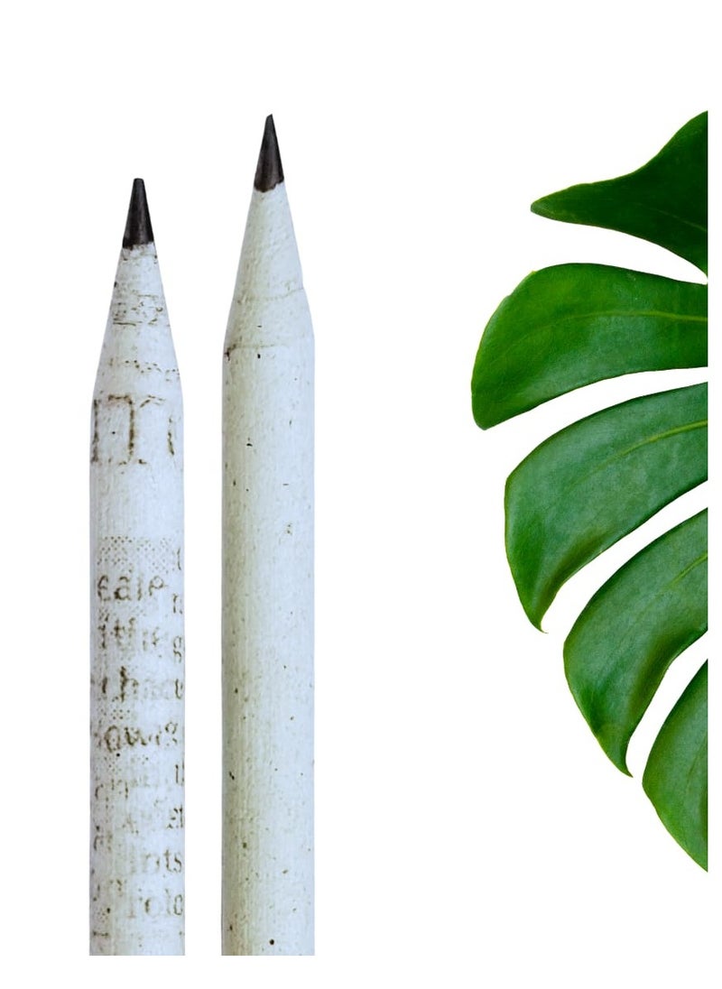 PIYAS PLANET Piyas Planet Ecofriendly Plantable Seed Pencils Pack of 5 Seed Pencil and 5 Newspaper Pencil  - Image 3