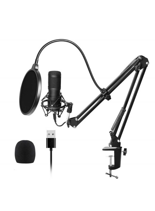 Arabest USB Condenser Microphone,Computer PC Microphone Kit with Adjustable Boom Arm Stand Shock Mount for YouTube Vocal Gaming Streaming  - Image 1