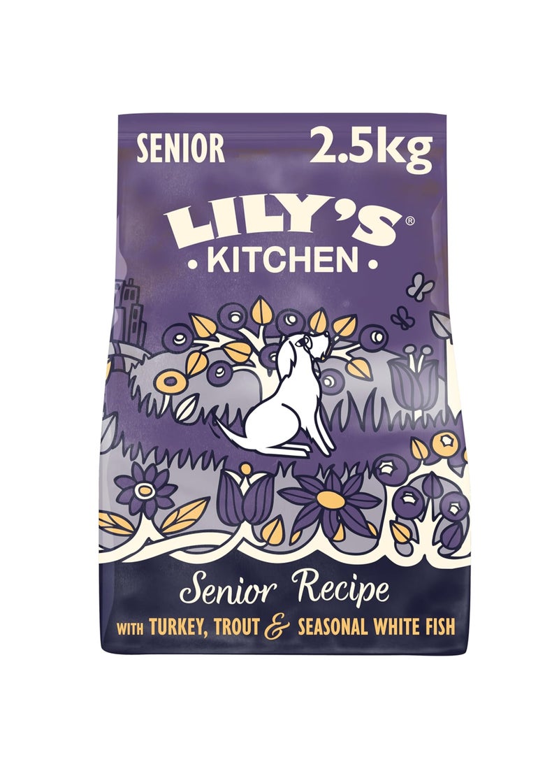 Lily's Kitchen Senior Recipe Turkey Adult 8+ Dry Dog Food - Image 1