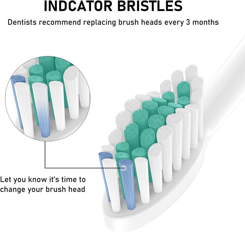 ELFIN 8 Pack Electric Toothbrush Replacement Heads for Philips Sonicare with Soft Dupont Bristles - Image 5