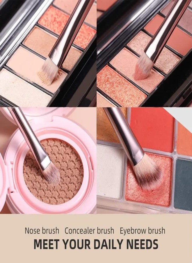 Brille Bee Professional Makeup Brushes Set, 12 Pieces, Eyeshadow, Eyebrow, Foundation Brushes, Makeup Kit for Women - Image 5