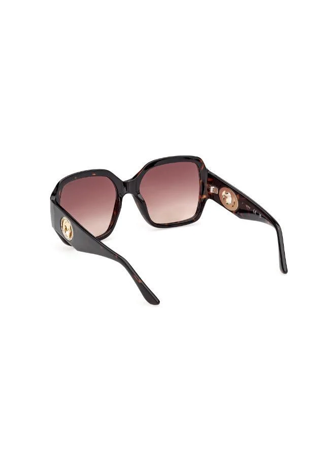 GUESS  GU0028352F57 oversized sunglasses for Women | Best Price UAE