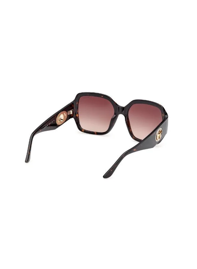 GUESS  GU0028352F57 oversized sunglasses for Women | Best Price UAE