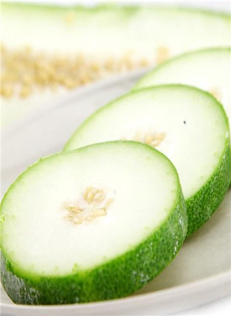 جي جوت 80 قطعة من بذور البطيخ الشتوي/القرع الشمعي، خضراوات غير معدلة وراثيًا، مزروعة في الهواء الطلق، حديقة، فناء، أصناف سهلة العناية، لا تحتاج إلى الكثير من العناية - Image 3