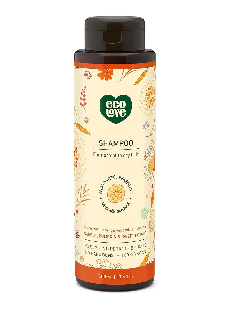 ecoLove - Natural Shampoo, Sodium lauryl sulfate Free, Vegan & Cruelty Free Shampoo, Natural Dry Shampoo for Women, Organic Carrot and Pumpkin Shampoo, No SLS or Parabens, 17.6 oz