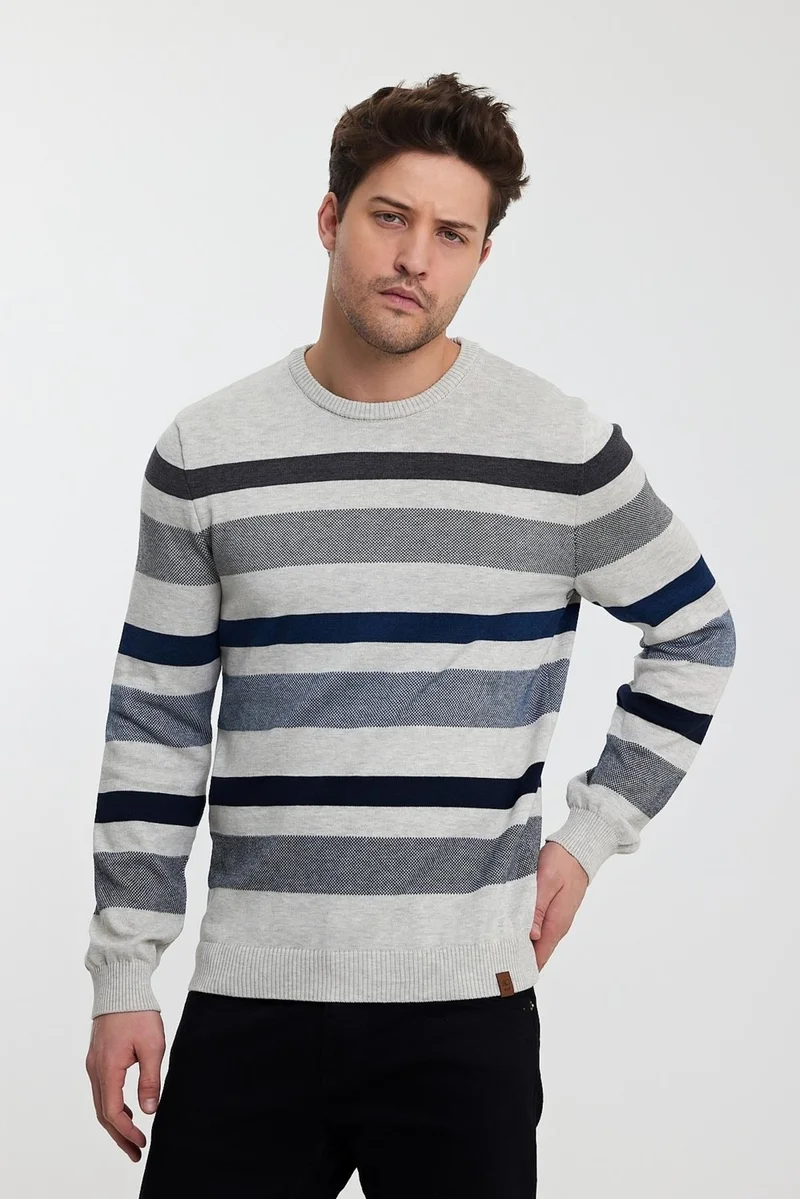 الكسندر جاردي Crew Neck Striped Men's SWEATER(E23-6712)