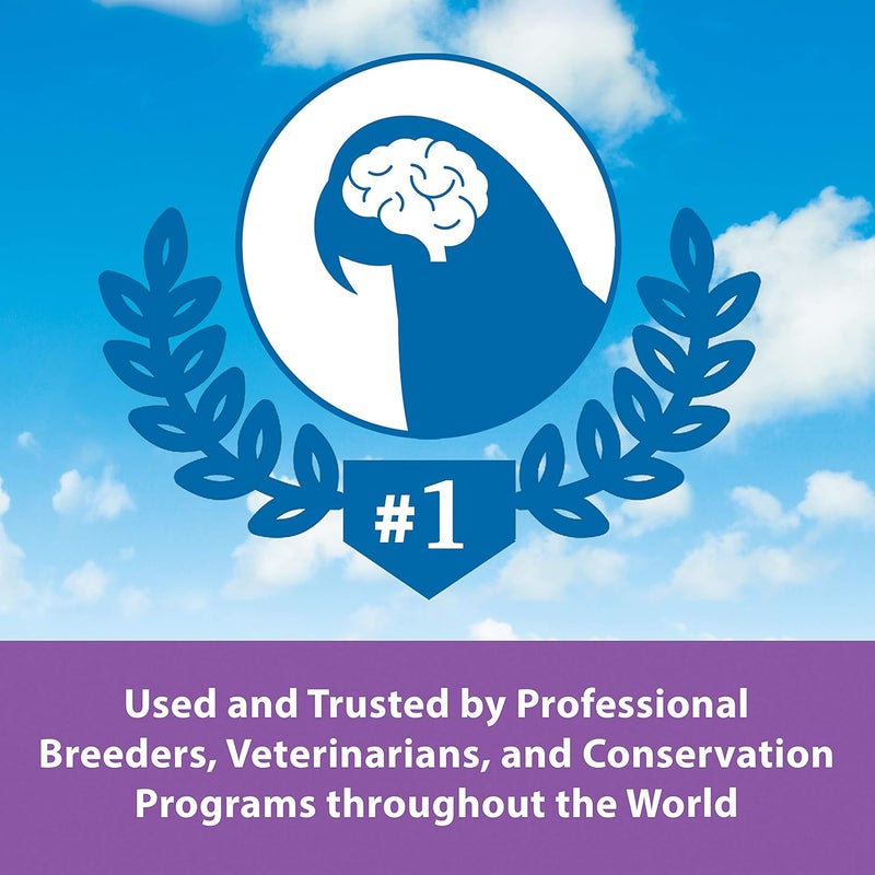 Kaytee صيغة التغذية اليدوية كايتى إكزاكت لطيور الببغاء، 5 رطل مع أوميغا-3 - Image 2