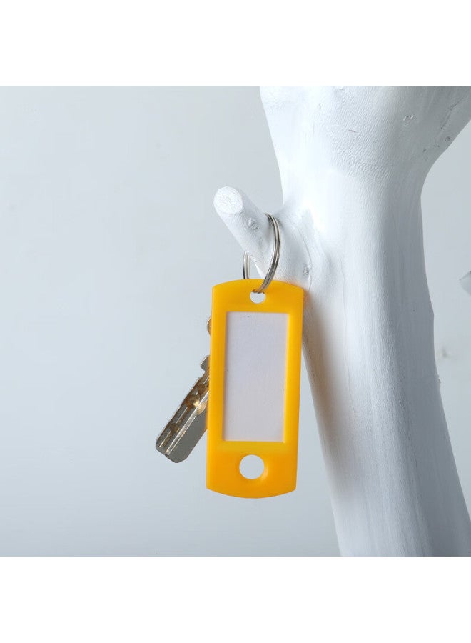 تانجو Tango Key Tags, ملونة ثقب مزدوج وجه واحد, 50 قطعة/أنبوب, أربعة ألوان, تغليف أنبوب الحيوانات الأليفة, بطاقات تعريف, Hotel Landlord مفتاح كبير, بطاقات تصنيف قابلة للتخصيص, Easy-to بطاقات مفاتيح - Image 4