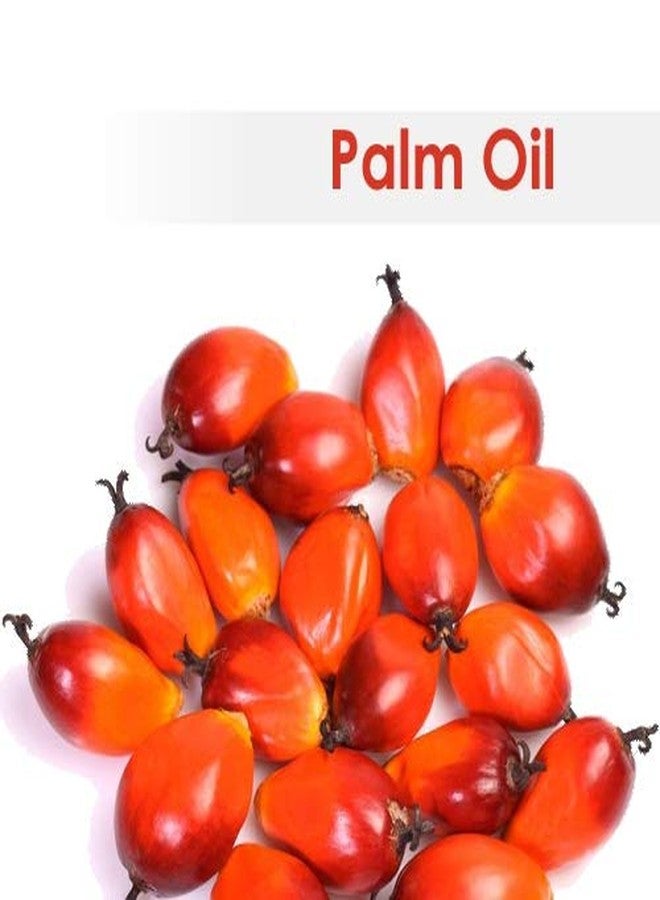 سالفيا زيت النخيل (Elaeis guineensis) نقي وطبيعي 100% مع قطارة 100 مل - Image 3