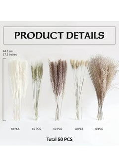 Beauenty 50pcs Dried Pampas Grass Bouquet – Bohemian Home Decor, Bunny Tails, and Rustic Charm for Weddings, Floral Arrangements, and Home Accents – Natural, Long-Lasting, and Versatile for Parties, Events,  - Image 5
