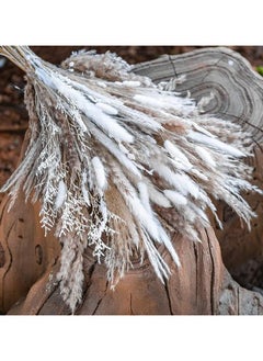 Beauenty 50pcs Dried Pampas Grass Bouquet – Bohemian Home Decor, Bunny Tails, and Rustic Charm for Weddings, Floral Arrangements, and Home Accents – Natural, Long-Lasting, and Versatile for Parties, Events,  - Image 4