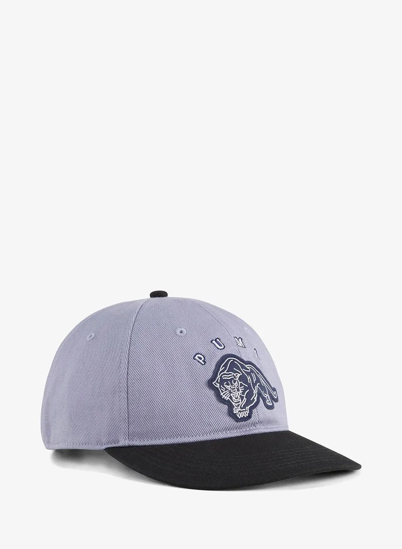 بوما قبعة بيسبول عتيقة منخفضة الانحناء غير منظمة