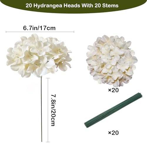 Cherica Hydrangea Artificial Flowers 20 Pcs Champagne Hydrangea Artificial Flowers Bulk Faux Hydrangea Flowers for Outdoor Fake Silk Ivory Hydrangea Flowers with Stems for Wedding Decoration Decor - Image 3