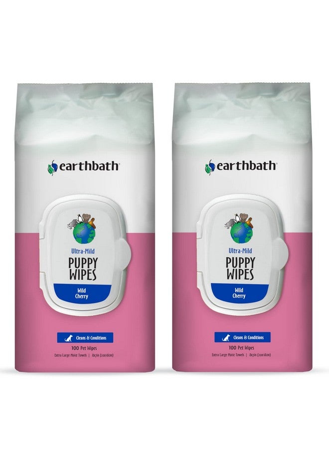 earthbath , UltraMild Wild Cherry Puppy Wipes  Dog Wipes For Paws And Butt, Best Pet Wipes For Dogs & Puppies, Made In Usa, CrueltyFree Dog Cleaning Wipes  100 Count (2 Pack) - Image 1