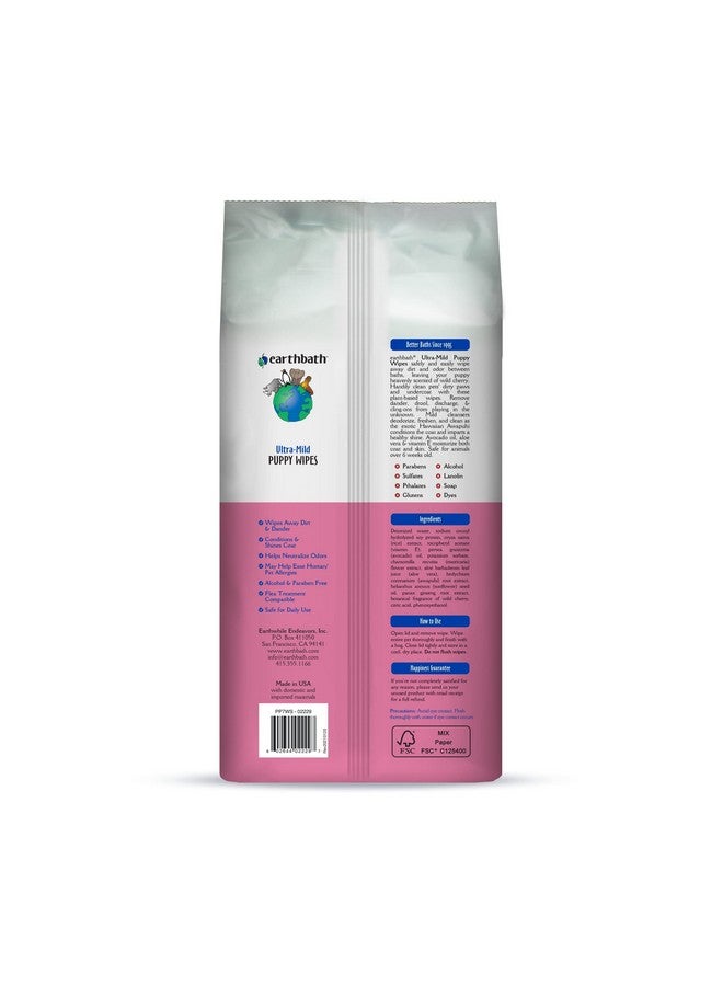 earthbath , UltraMild Wild Cherry Puppy Wipes  Dog Wipes For Paws And Butt, Best Pet Wipes For Dogs & Puppies, Made In Usa, CrueltyFree Dog Cleaning Wipes  100 Count (2 Pack) - Image 2