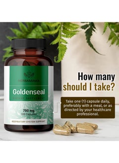 HERBAMAMA Goldenseal Root Capsule Supplement Organic Goldenseal Herb Powder Pills Respiratory & Digestive Function 100 Capsules  - Image 4