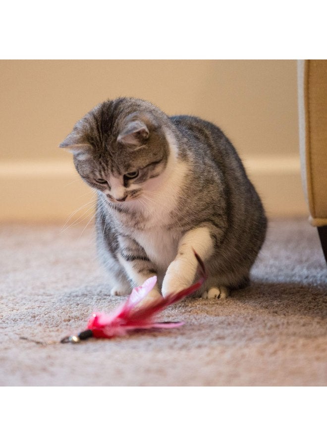 Youngever 6 Pieces Cat Toys Teasing Feather Toy, Retractable Wand with Assorted Teaser Refills, Interactive Toy for Kitten Cat - Image 2