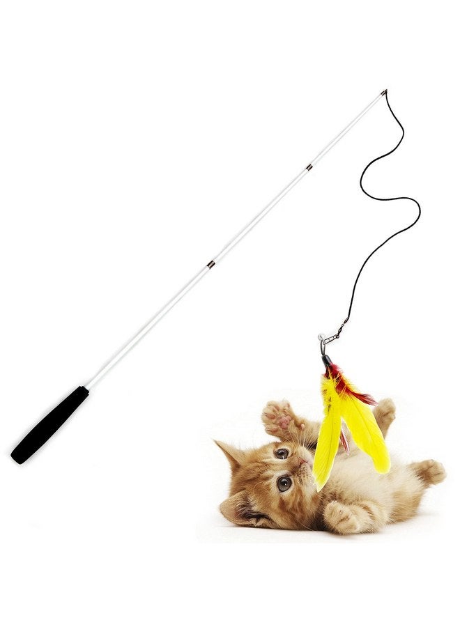 Youngever 6 Pieces Cat Toys Teasing Feather Toy, Retractable Wand with Assorted Teaser Refills, Interactive Toy for Kitten Cat - Image 4