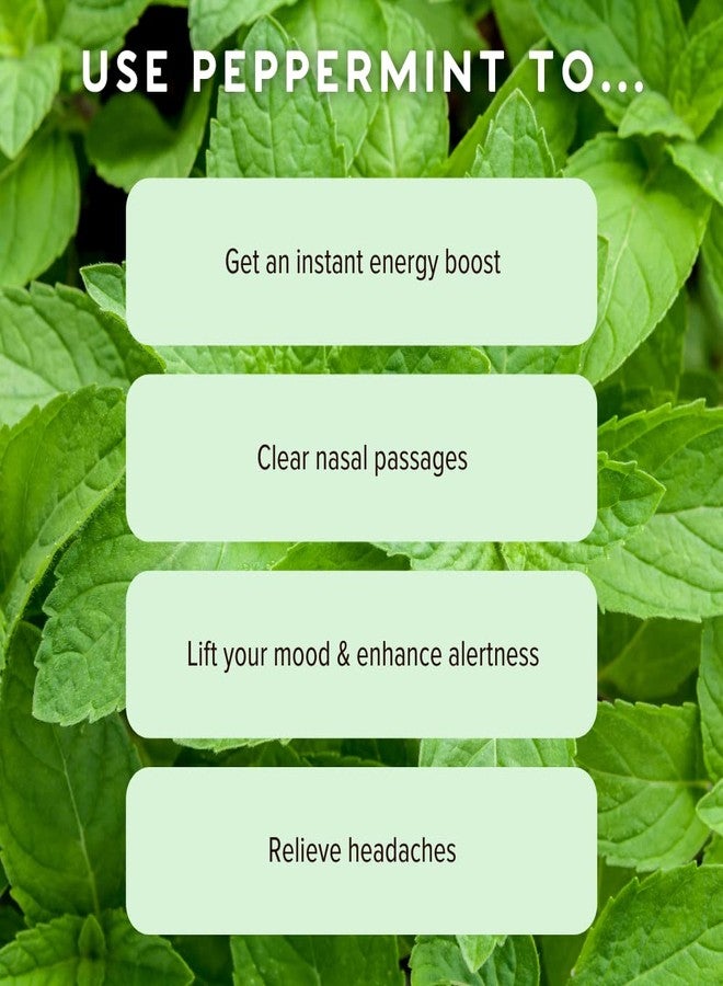 MOXE MOXĒ Peppermint Essential Oil Nasal Inhaler, Therapeutic No-Mess Aromatherapy, Cooling, Refreshing, Invigorating, Uplifts Mood and Positivity, Pure and Undiluted, Made in USA (3 Pack)` - Image 4