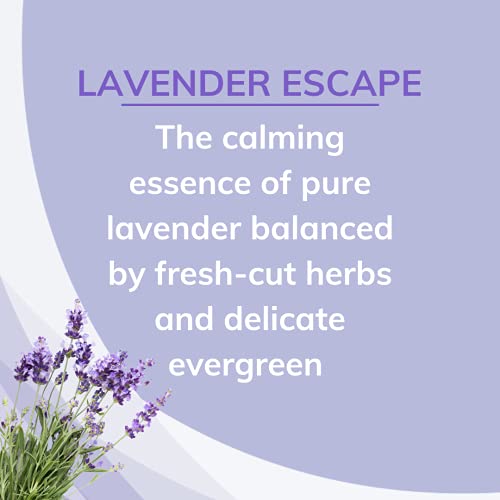 Citrus Magic معطر هواء صلب لامتصاص الروائح من سيتروس ماجيك، هروب اللافندر، 8 أونصات (عبوة من 3) - Image 3